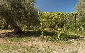 Villa Mendolia Ai Caracoli