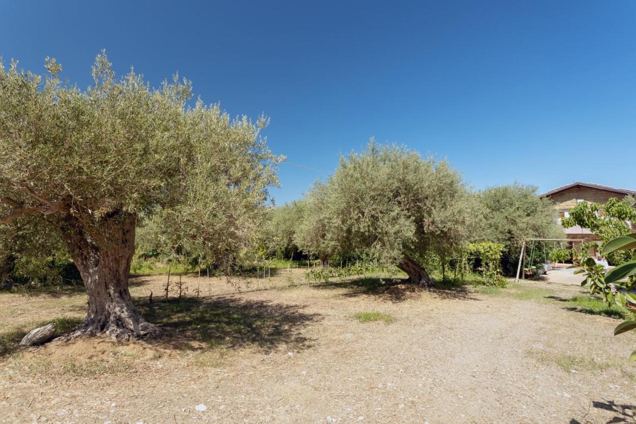 Villa Mendolia Ai Caracoli Termini Imerese Extérieur photo